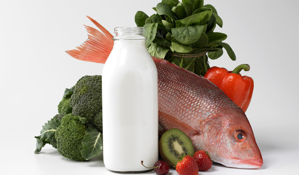 Nutritips de alimentación
